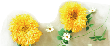 大事な情報はアプリがお知らせ！